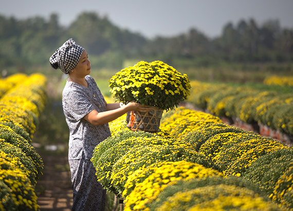 Celebrating family farmers